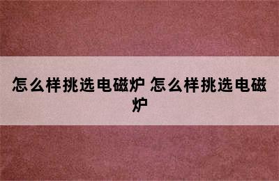 怎么样挑选电磁炉 怎么样挑选电磁炉